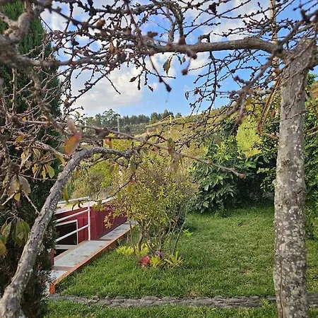 Semesterbostad River Ponta Do Sol By Rentallido